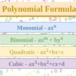 Polynomial