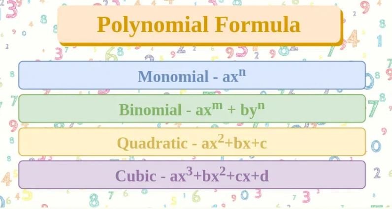 Polynomial