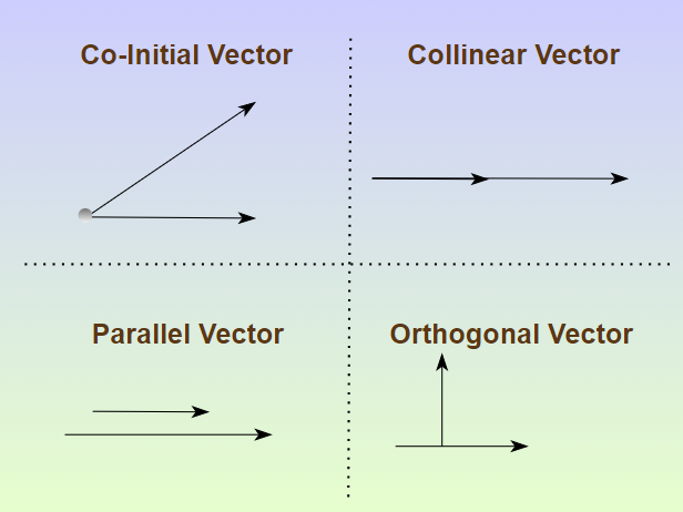 Types of Vectors