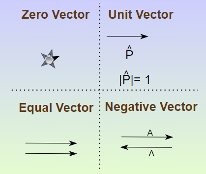 Types of Vectors